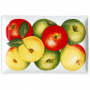 Taitu Фарфоровое прямоугольное блюдо Mele 33 х 22 см Dieta Mediterranea Fruits (12-9-9)