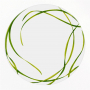 Taitu Фарфоровая обеденная тарелка 28 см Life in Green (12-13-0)